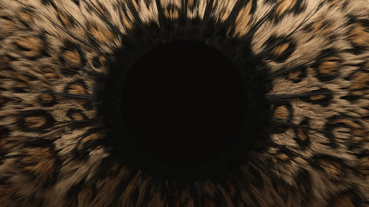 06 1