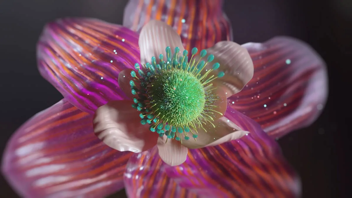 06 2