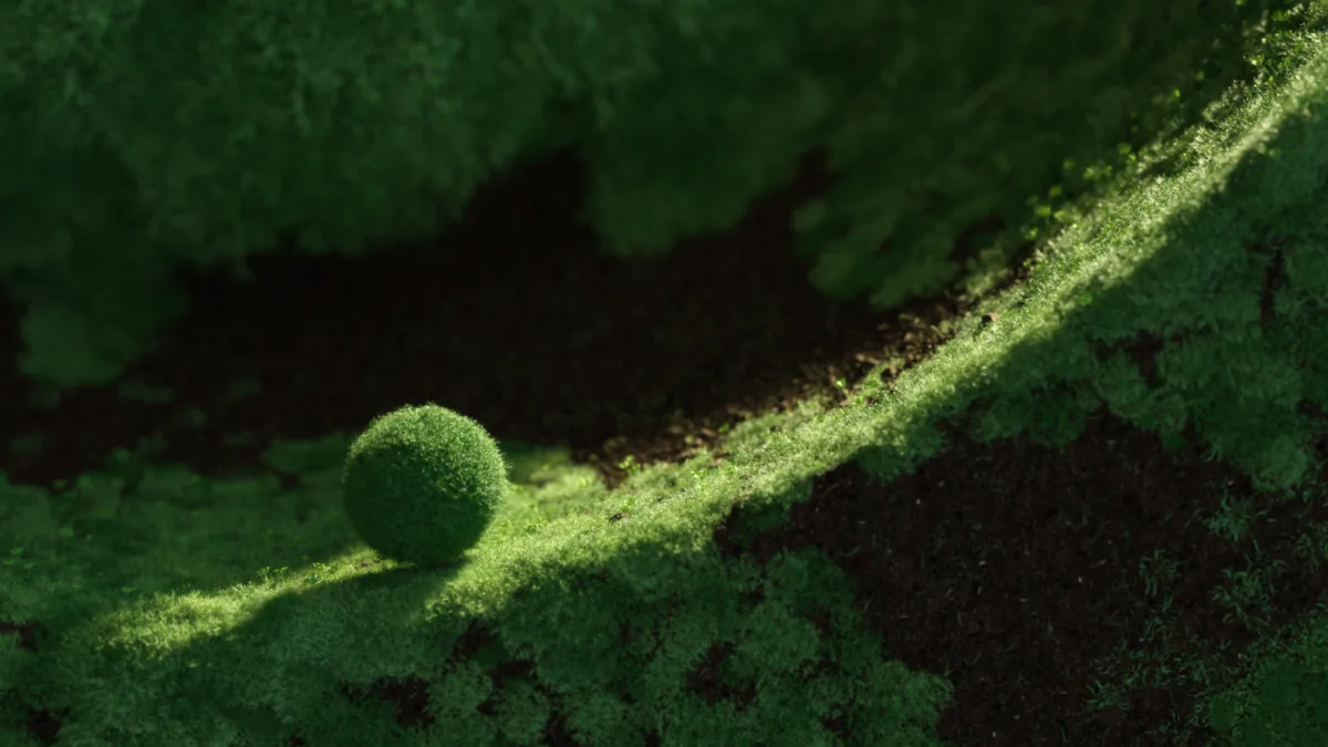 02 grass 03 1