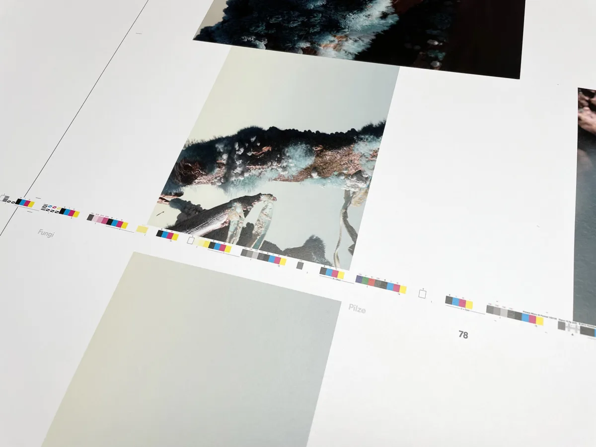 At the printer 05
