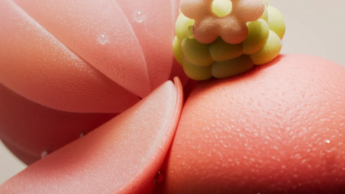 Grapefruit 10