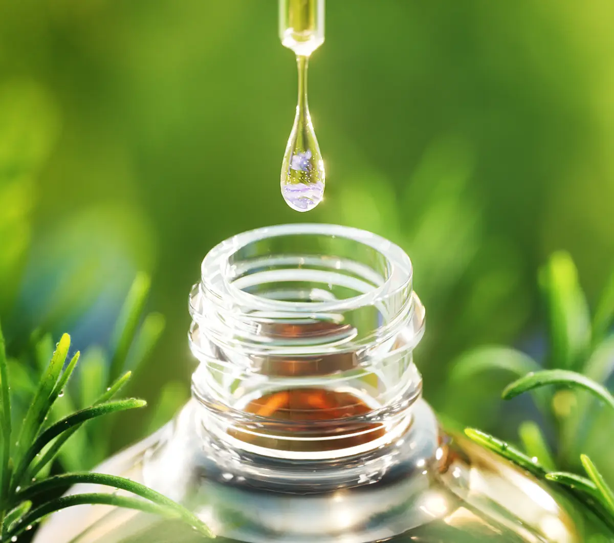 Herbal essence 2025 Droplet and products 0005 3