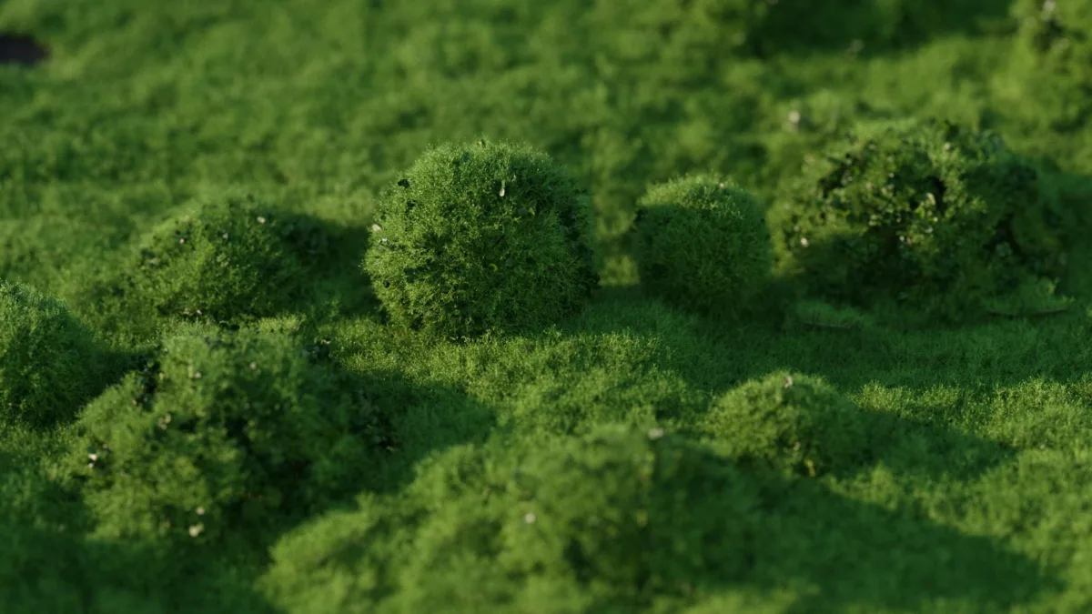 Asmr grass