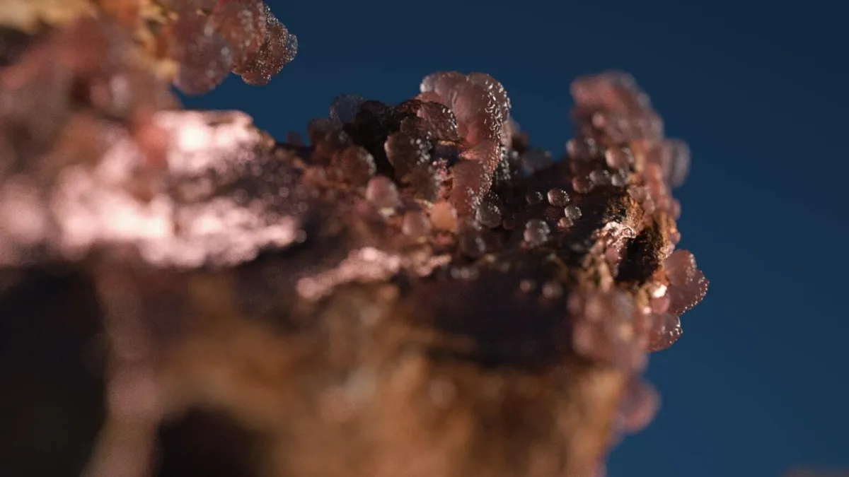 Asmr Wood Closeup 01