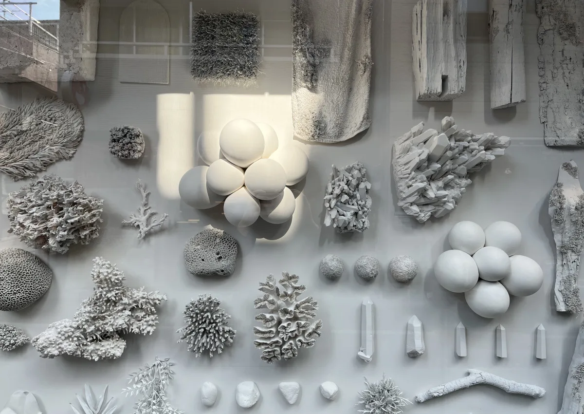 Window30